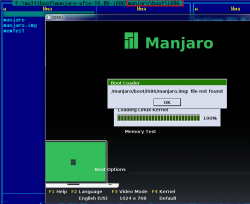 Manjaro Other: Проблема с установкой Manjaro с USB флэшки