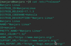 Manjaro KDE Edition: Manjaro 17.1.3 - пропал AUR в Octopi